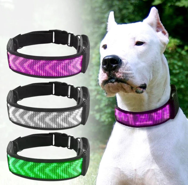 Collar LED Inteligente Para Mascotes