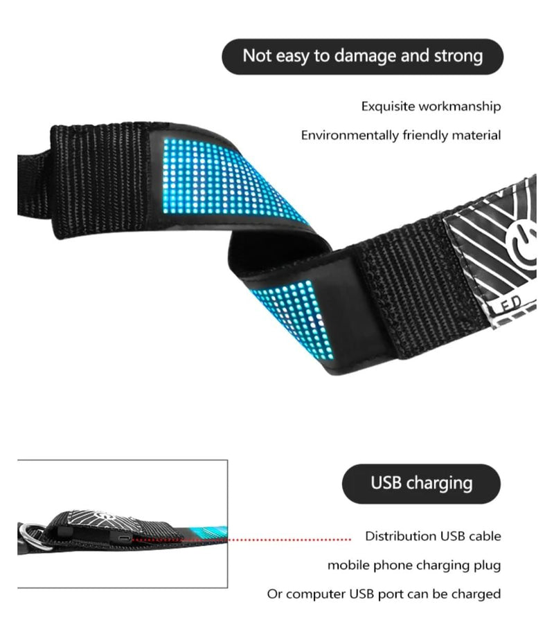 Collar LED Inteligente Para Mascotes