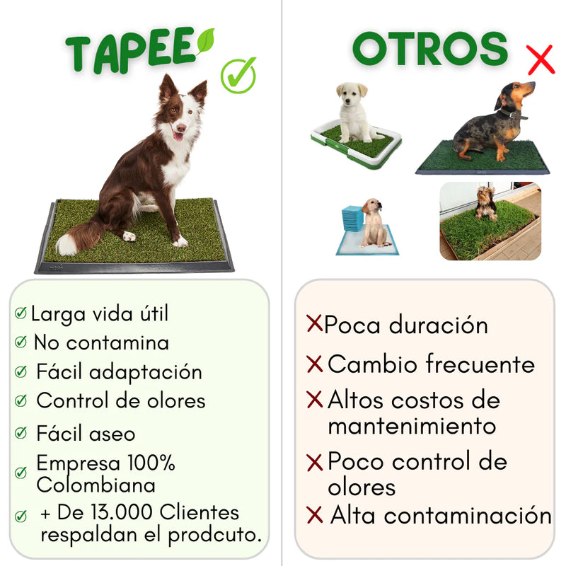 Tapete Pasto Entrenamiento de Mascotas
