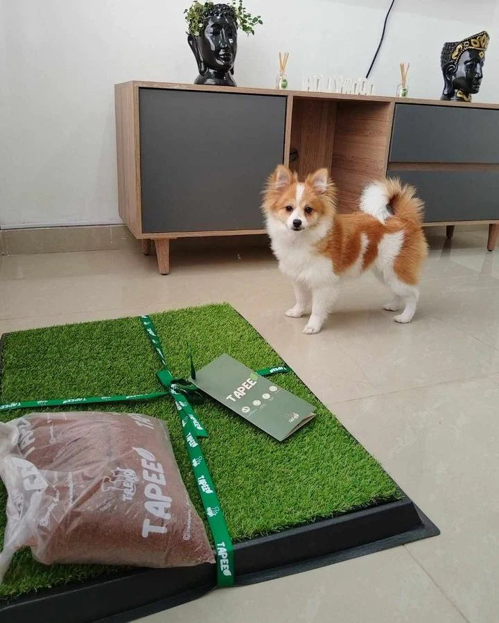 Tapete Pasto Entrenamiento de Mascotas