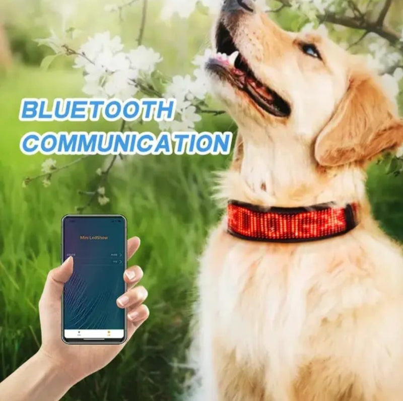 Collar LED Inteligente Para Mascotes